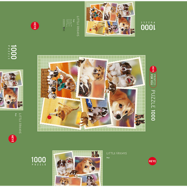 Dogs - Monika Wegner - Little Friends 1000 Jigsaw Puzzle box 3D Modell