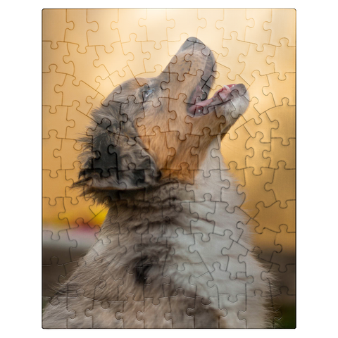 puzzleplate Aussi puppy 100 Jigsaw Puzzle