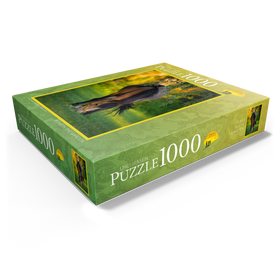 1000