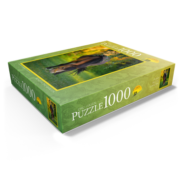 Pony in garden 1000 Jigsaw Puzzle box view1