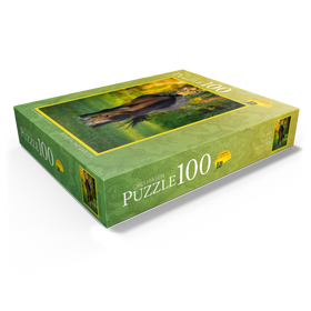 100