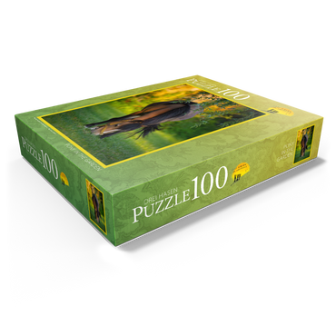 Pony in Garden 100 Jigsaw Puzzle box view1