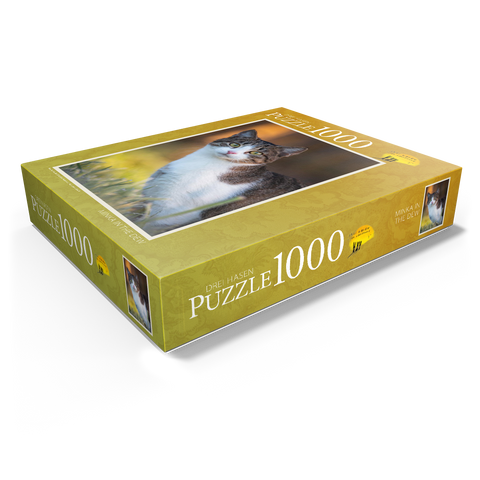 Minka in dew 1000 Jigsaw Puzzle box view1