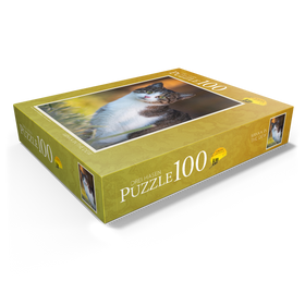 100