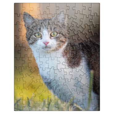 puzzleplate Minka in dew - cute cat 100 Jigsaw Puzzle