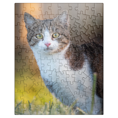 puzzleplate Minka in dew - cute cat 100 Jigsaw Puzzle