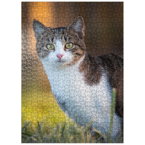 puzzleplate Minka in dew - cute cat 500 Jigsaw Puzzle