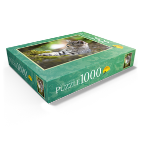 1000