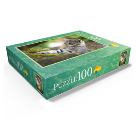 100