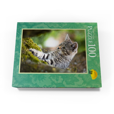Treecat - cat climbing in tree 100 Jigsaw Puzzle box view1