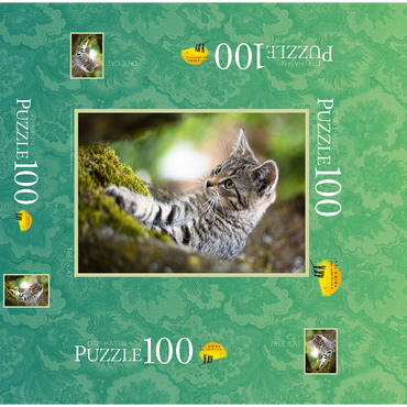 Treecat - cat climbing in tree 100 Jigsaw Puzzle box 3D Modell