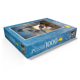1000