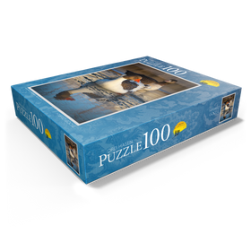 100