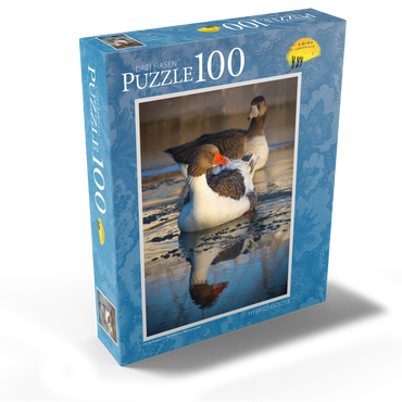 Hybrid Goose 100 Jigsaw Puzzle box view1