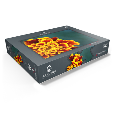 Marigold / Tagetes patula 1000 Jigsaw Puzzle box view1