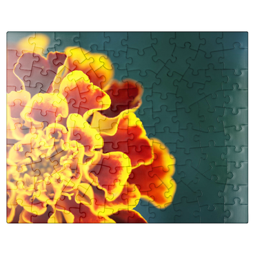 puzzleplate Marigold  Tagetes patula 100 Jigsaw Puzzle
