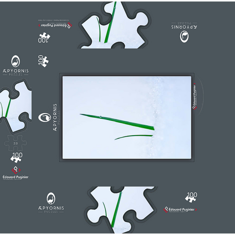 Still there 100 Jigsaw Puzzle box 3D Modell