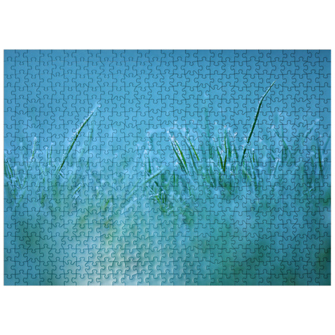 puzzleplate Frozen morning 500 Jigsaw Puzzle