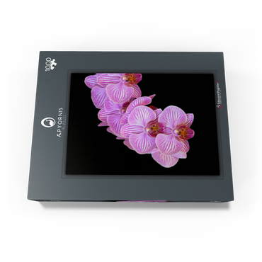 Orchid intimacy 1000 Jigsaw Puzzle box view1