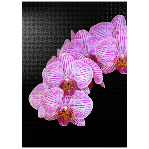 puzzleplate Orchid intimacy 1000 Jigsaw Puzzle