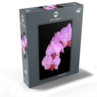 Orchid intimacy 100 Jigsaw Puzzle box view1
