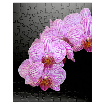 puzzleplate Orchid intimacy 100 Jigsaw Puzzle