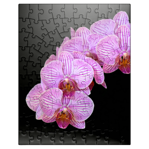 puzzleplate Orchid intimacy 100 Jigsaw Puzzle