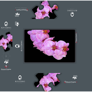 Orchid intimacy 100 Jigsaw Puzzle box 3D Modell