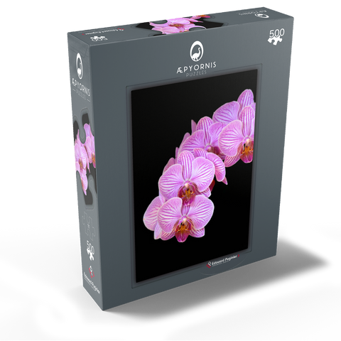 Orchid intimacy 500 Jigsaw Puzzle box view1