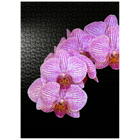 puzzleplate Orchid intimacy 500 Jigsaw Puzzle