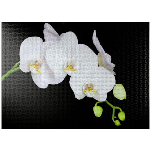 puzzleplate Pure Orchid 1000 Jigsaw Puzzle