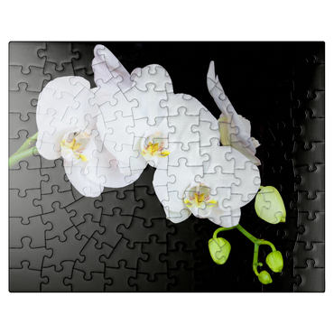 puzzleplate Pure Orchid 100 Jigsaw Puzzle
