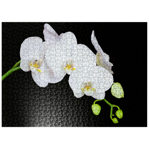 puzzleplate Pure Orchid 500 Jigsaw Puzzle