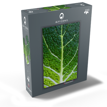 Kale Leaf - Close and Personal 100 Jigsaw Puzzle box view1