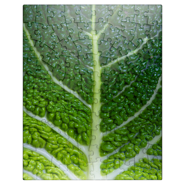 puzzleplate Kale Leaf - Close and Personal 100 Jigsaw Puzzle