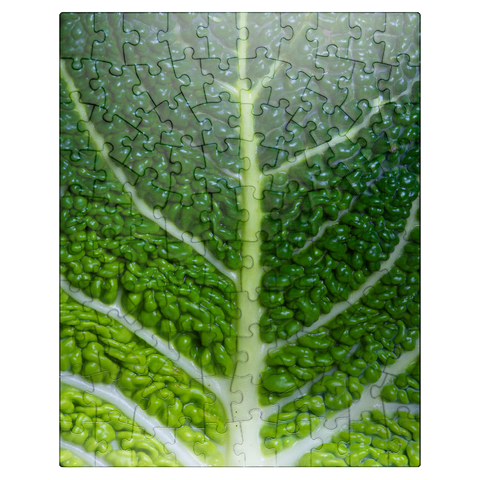 puzzleplate Kale Leaf - Close and Personal 100 Jigsaw Puzzle