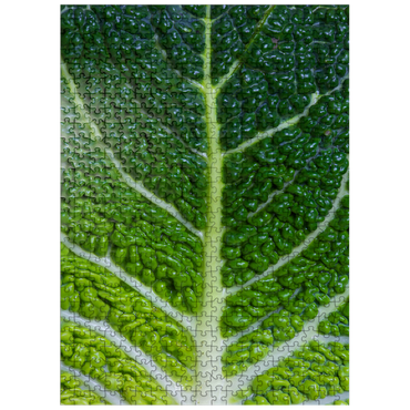 puzzleplate Kale Leaf - Close and Personal 500 Jigsaw Puzzle