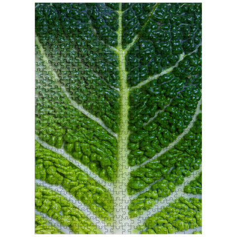 puzzleplate Kale Leaf - Close and Personal 500 Jigsaw Puzzle