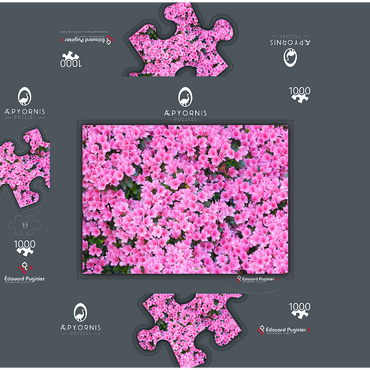 Flowery 1000 Jigsaw Puzzle box 3D Modell