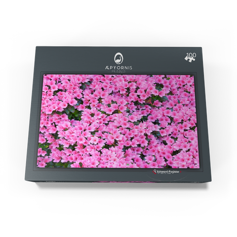 Flowery Azalea 100 Jigsaw Puzzle box view1