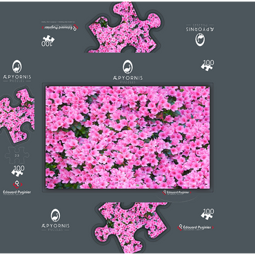 Flowery Azalea 100 Jigsaw Puzzle box 3D Modell