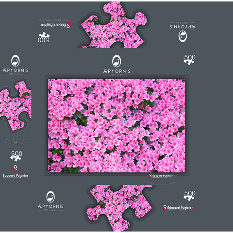 Flowery Azalea 500 Jigsaw Puzzle box 3D Modell