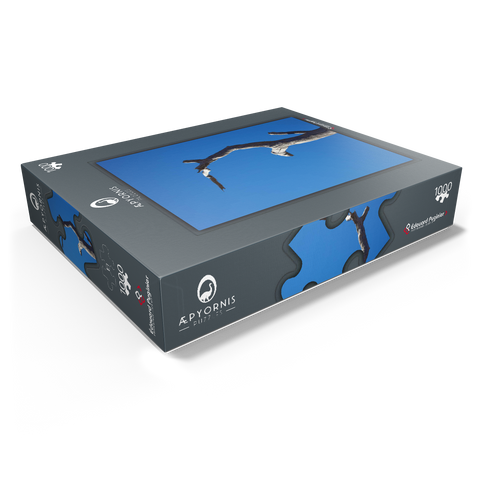 Trunk & Sky 1000 Jigsaw Puzzle box view1