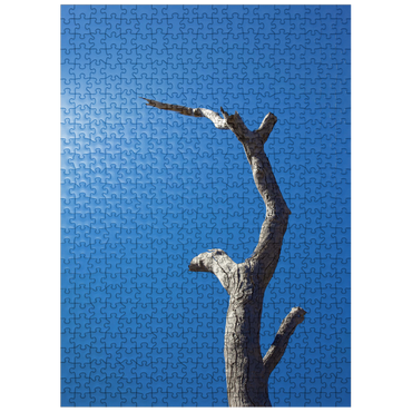 puzzleplate Trunk & Sky 500 Jigsaw Puzzle