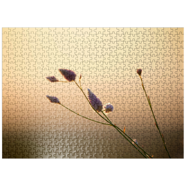 puzzleplate Flower in Morning 500 Jigsaw Puzzle