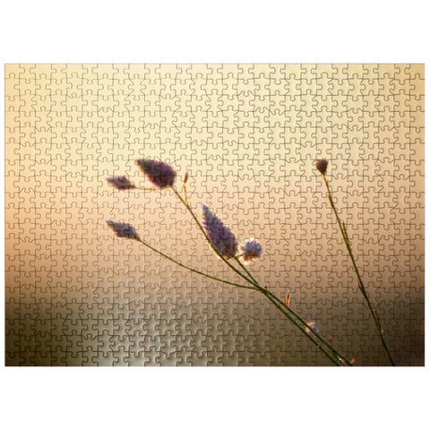 puzzleplate Flower in Morning 500 Jigsaw Puzzle