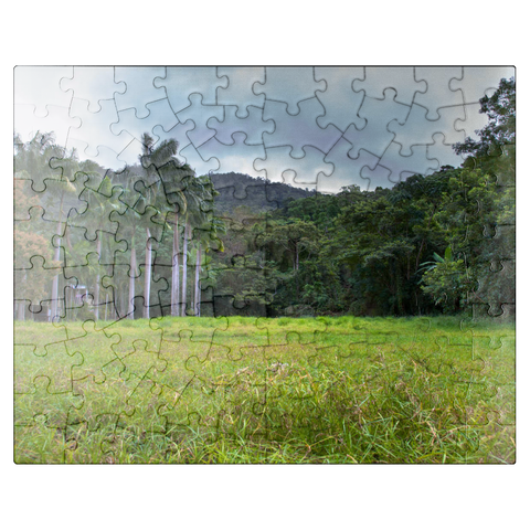 puzzleplate Welcome to the Jungle 100 Jigsaw Puzzle