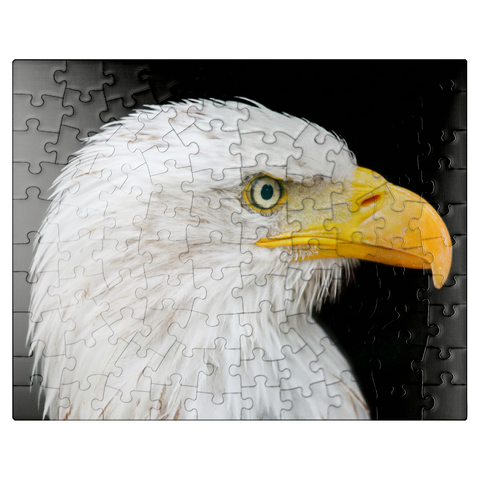 puzzleplate Bald Eagle 100 Jigsaw Puzzle