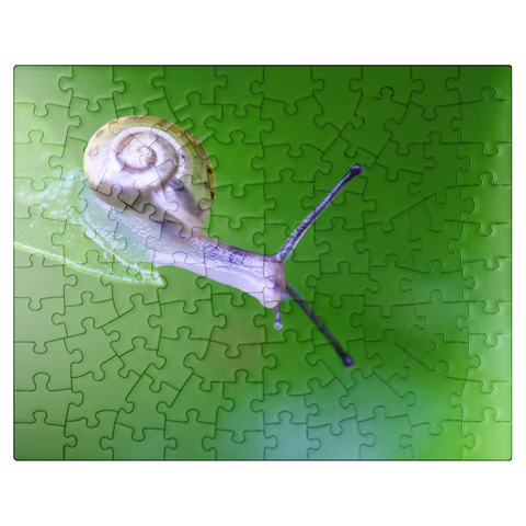 puzzleplate Micro snail 100 Jigsaw Puzzle