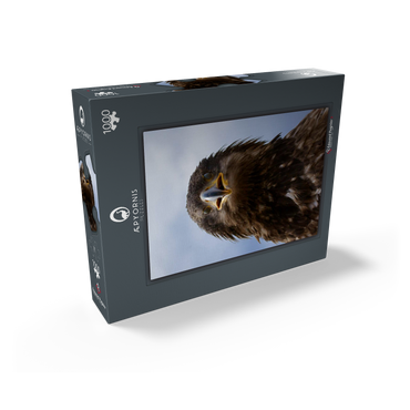 Golden eagle 1000 Jigsaw Puzzle box view1
